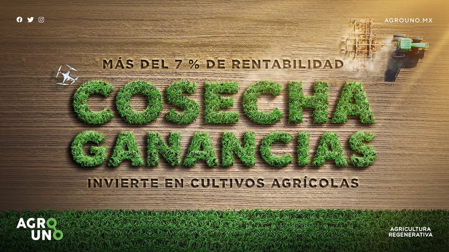 campaña creativa cosecha ganancias