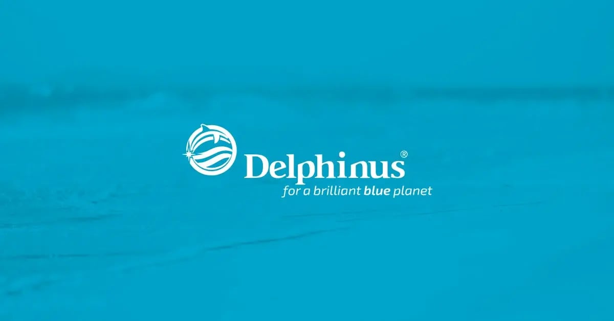 ig_website_client-banner_delphinus-2.jpg