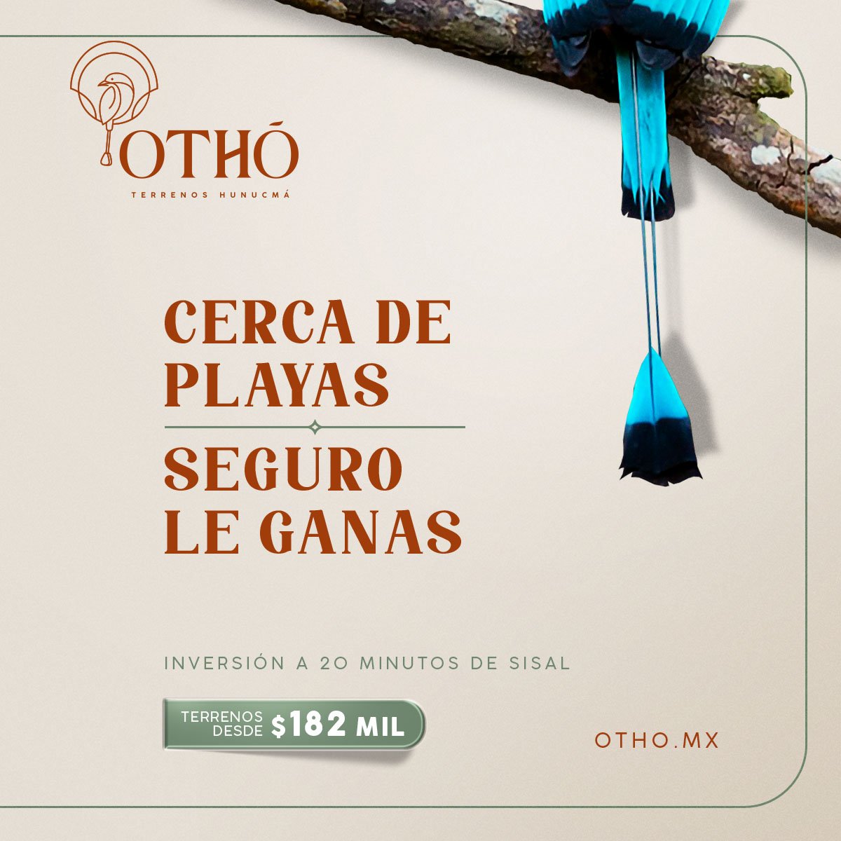 otho_campaña_1