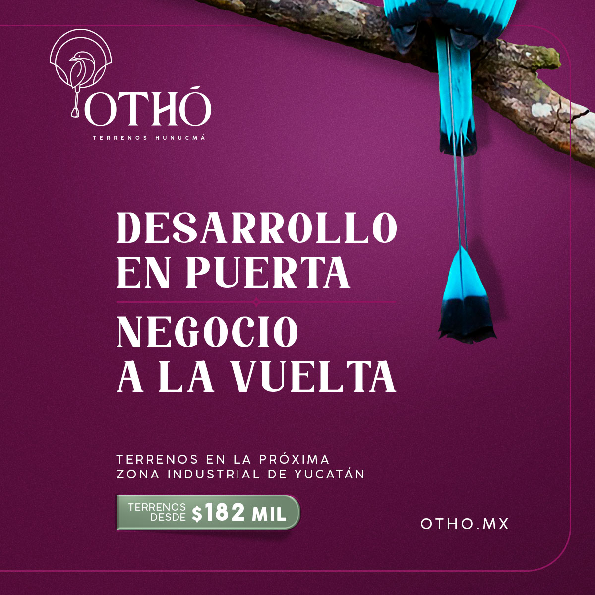 otho_campaña