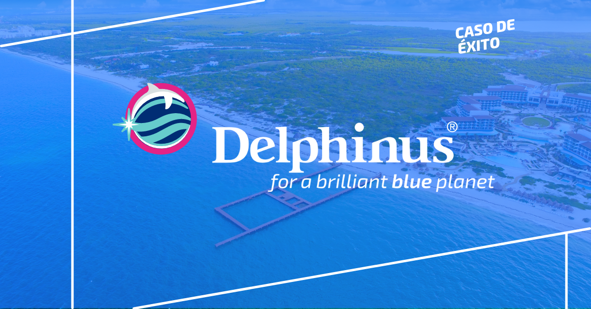 El secreto detrás de la exitosa estrategia de SEO para Delphinus